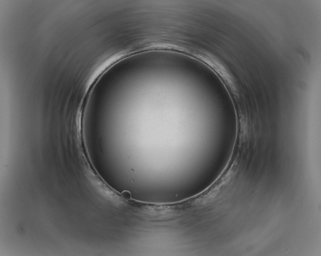 X0000113761198200909231158