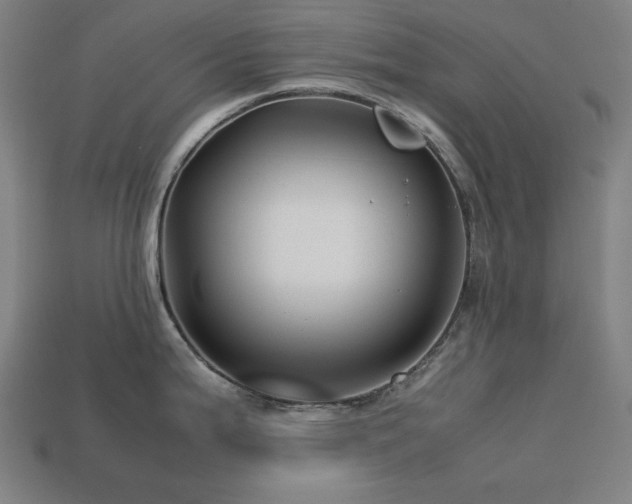 X0000113761199200909231158