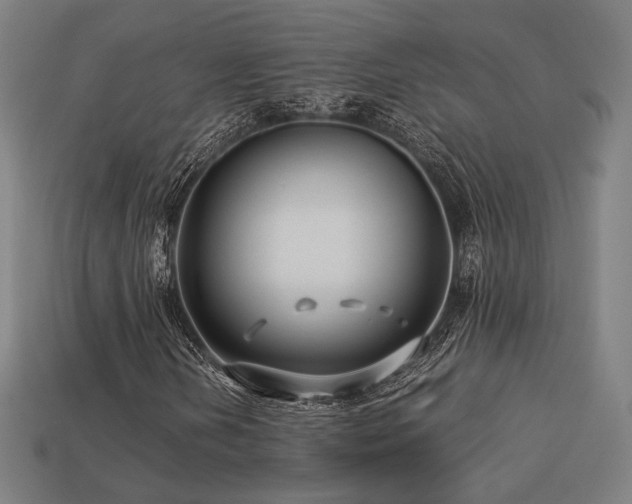 X0000113761202200909231157