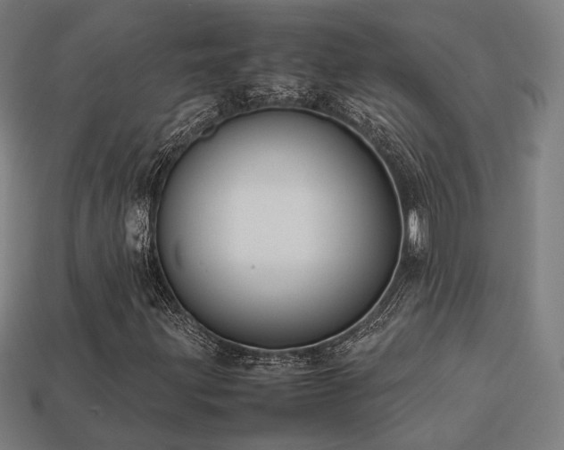 X0000113761203200909231157