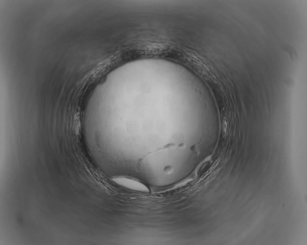 X0000113761204200909231157