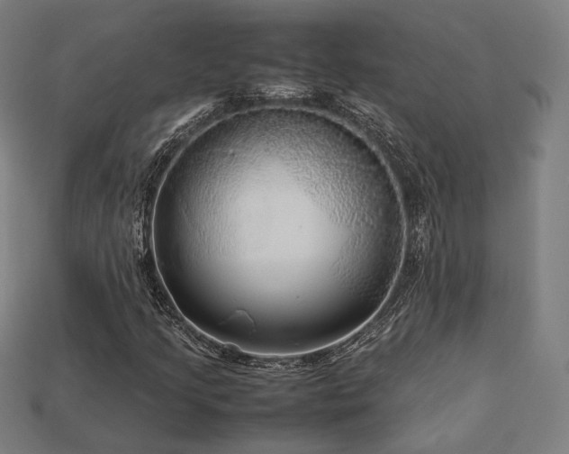 X0000113761205200909231157