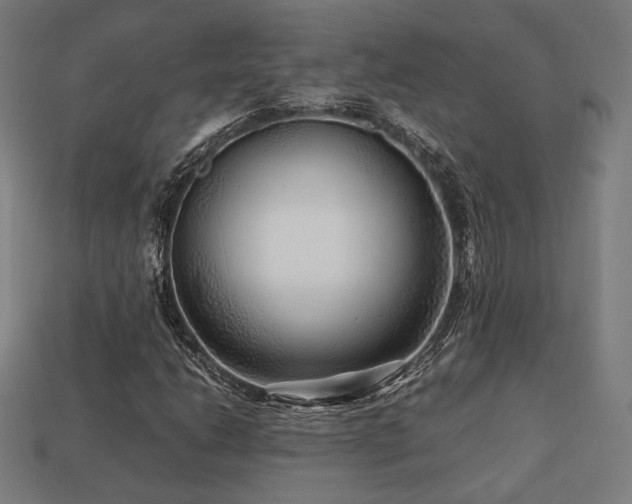 X0000113761206200909231157