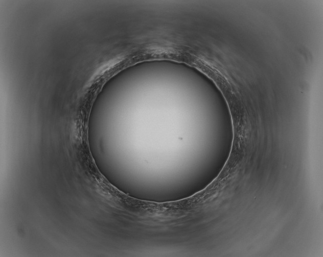 X0000113761207200909231157