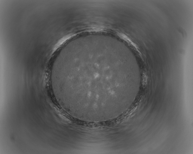 X0000113761208200909231157