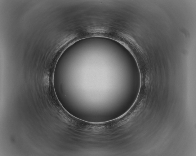 X0000113761209200909231157