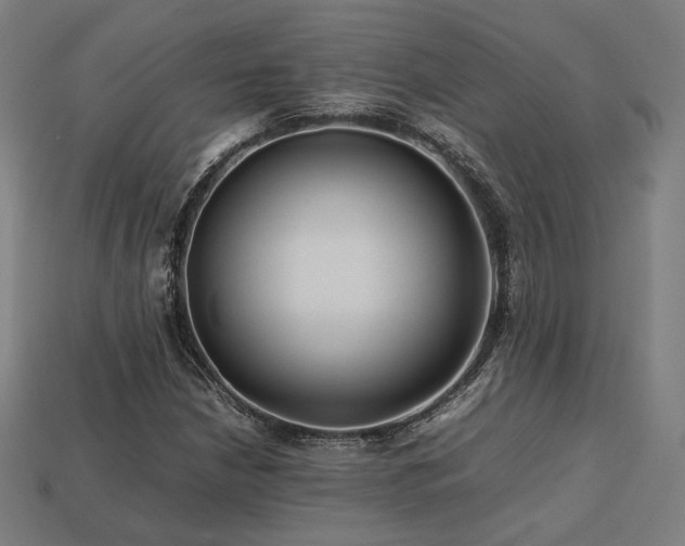 X0000113761210200909231157