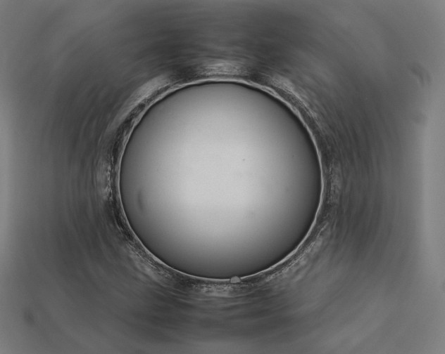 X0000113761211200909231157