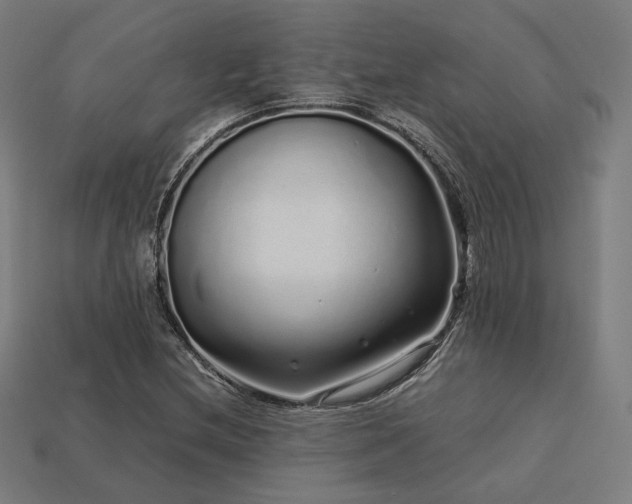 X0000113761212200909231157