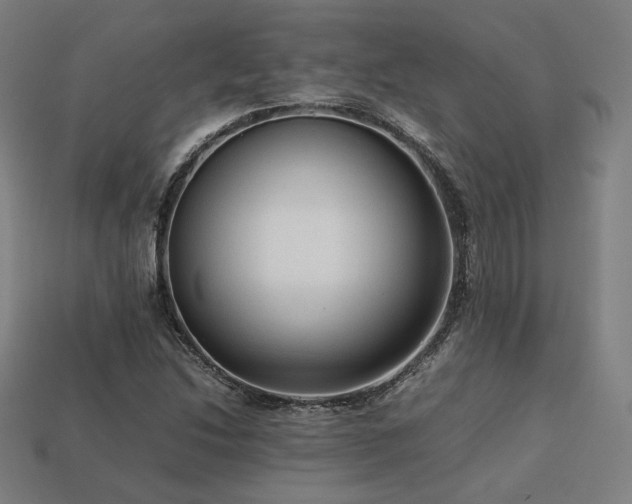 X0000113761214200909231157