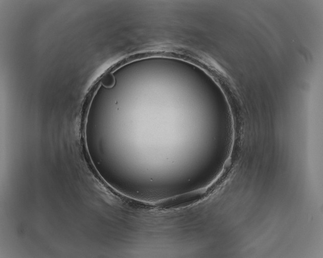 X0000113761216200909231157