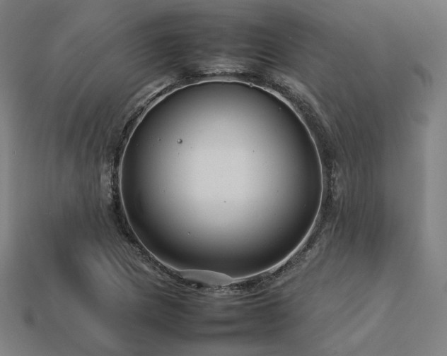 X0000113761217200909231157