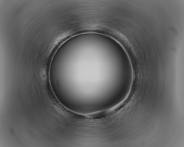 X0000113761218200909231157