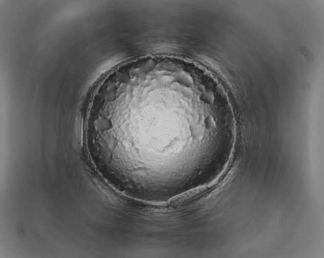 X0000113761219200909231157