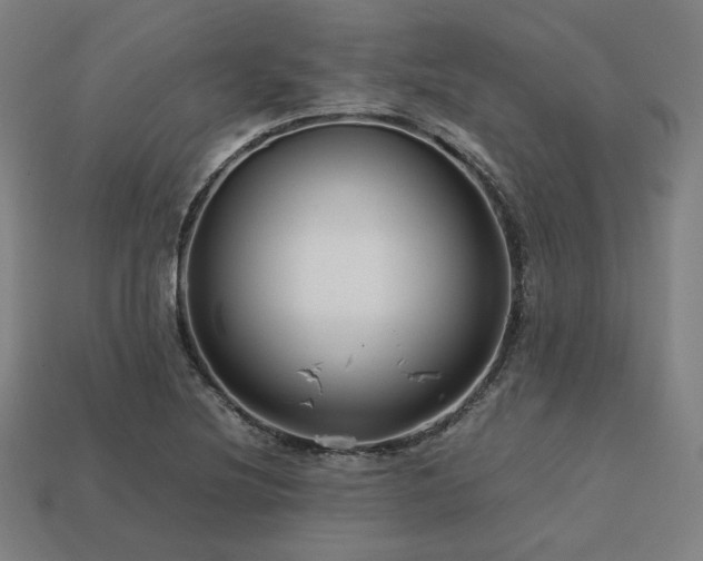 X0000113761220200909231157
