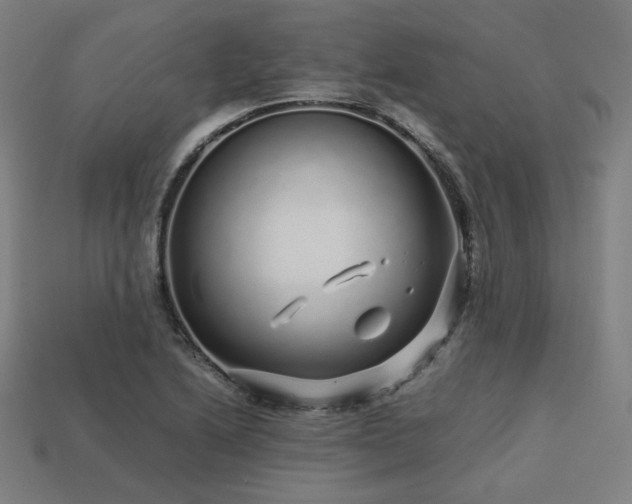X0000113761222200909231157