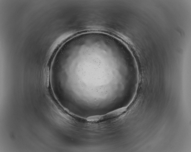 X0000113761223200909231157