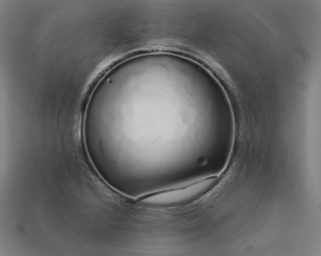 X0000113761224200909231157