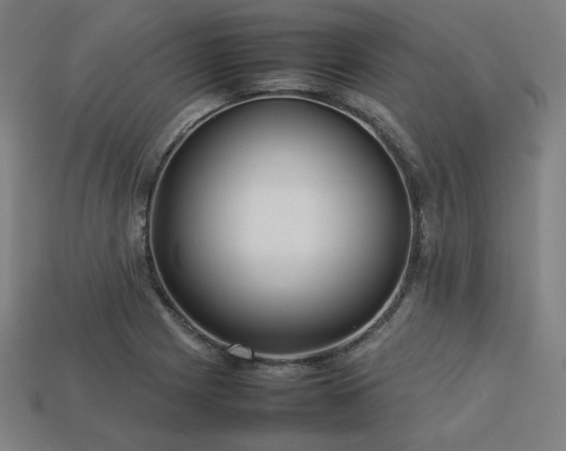 X0000113761225200909231157