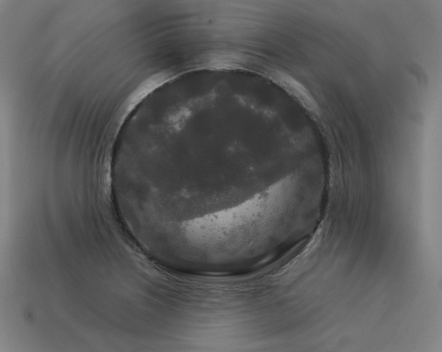 X0000113761226200909231157