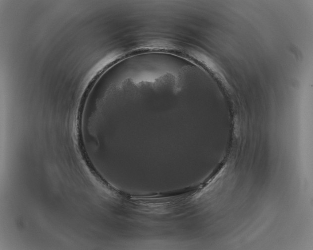 X0000113761229200909231157