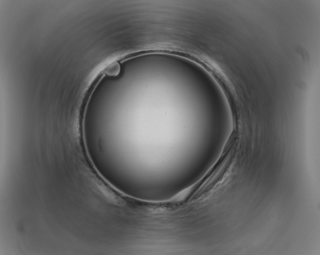X0000113761230200909231157