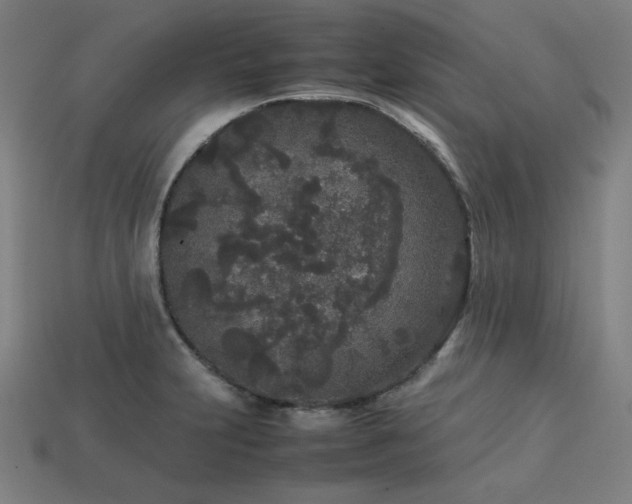 X0000113761231200909231157