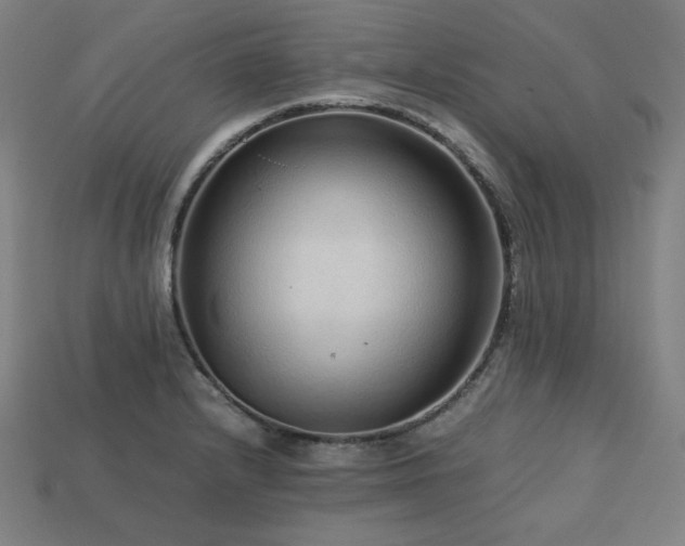 X0000113761232200909231157