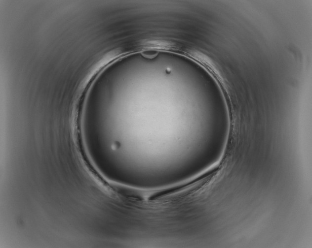 X0000113761235200909231157