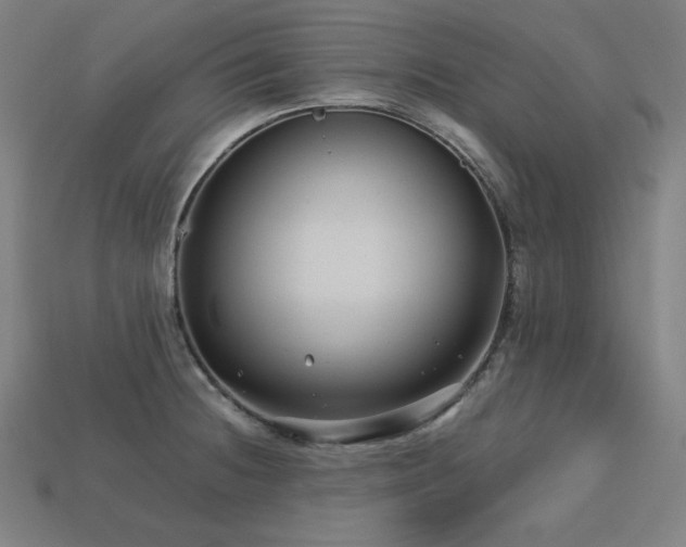 X0000113761236200909231157