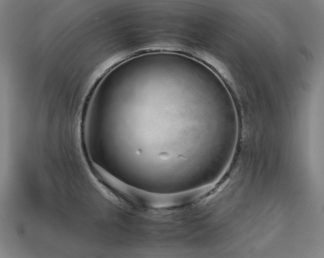 X0000113761237200909231157