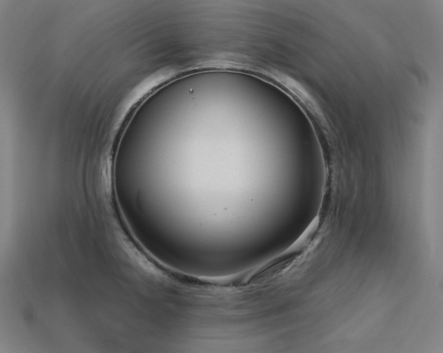 X0000113761238200909231157