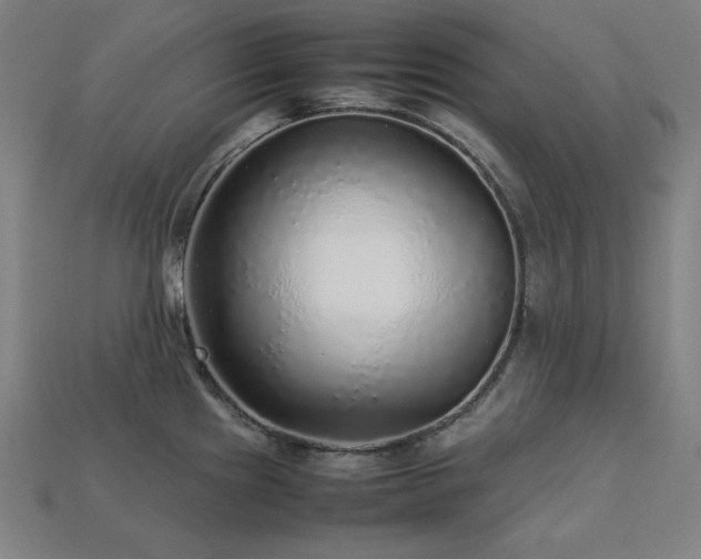 X0000113761241200909231158