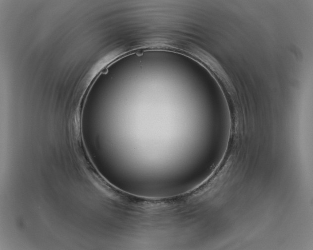 X0000113761242200909231158