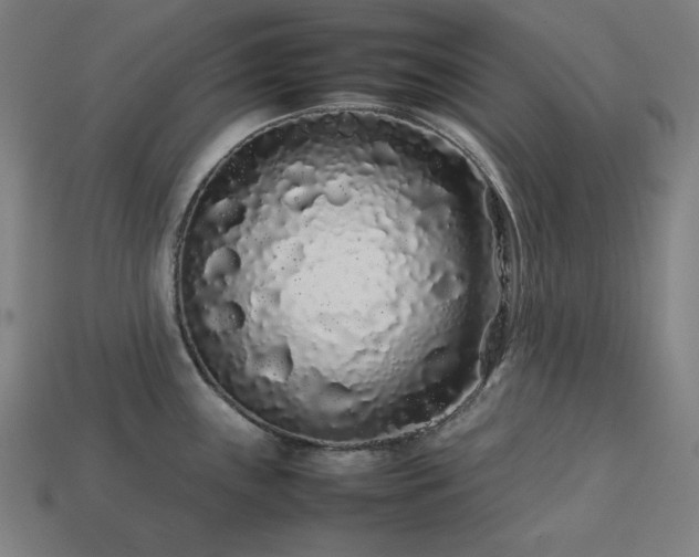X0000113761243200909231158
