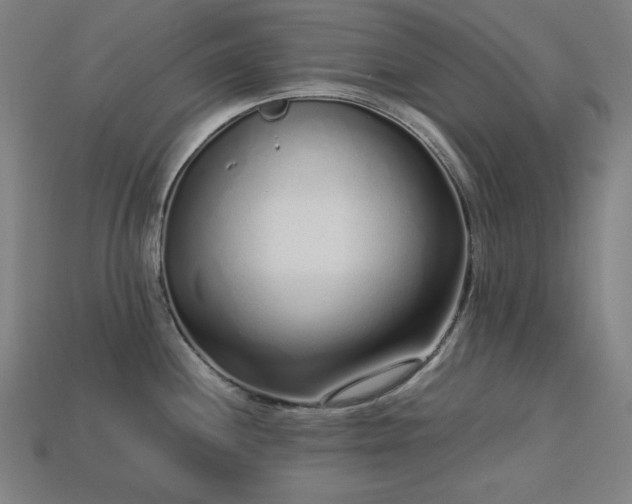 X0000113761244200909231158