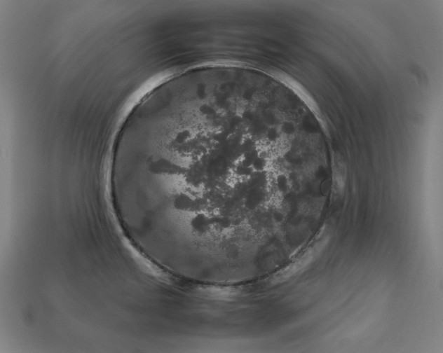 X0000113761245200909231158