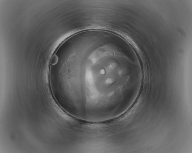 X0000113761246200909231158