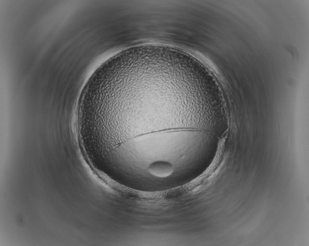 X0000113761247200909231158