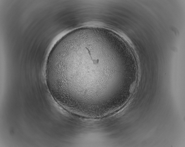 X0000113761248200909231158