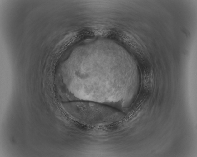 X0000113761249200909231157