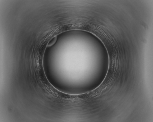 X0000113761250200909231157