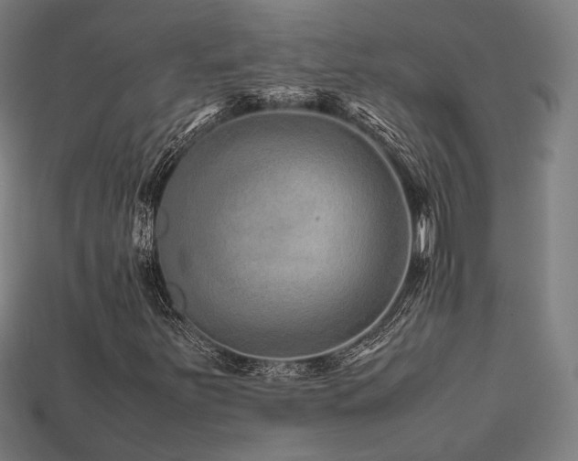 X0000113761251200909231157