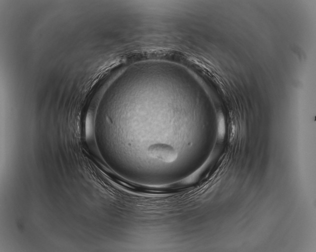 X0000113761252200909231157