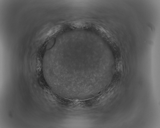 X0000113761253200909231157