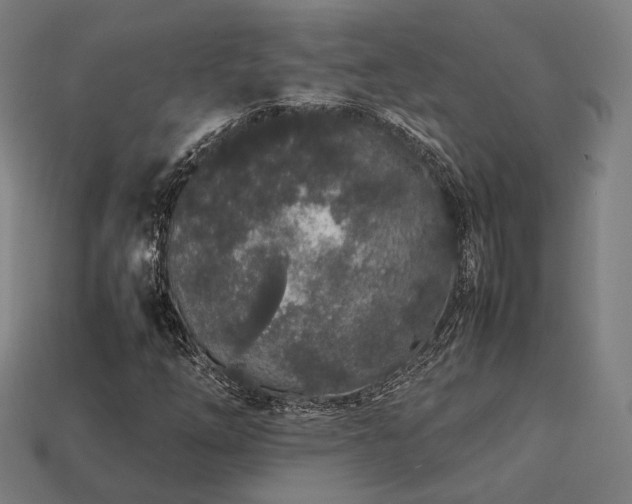 X0000113761254200909231157