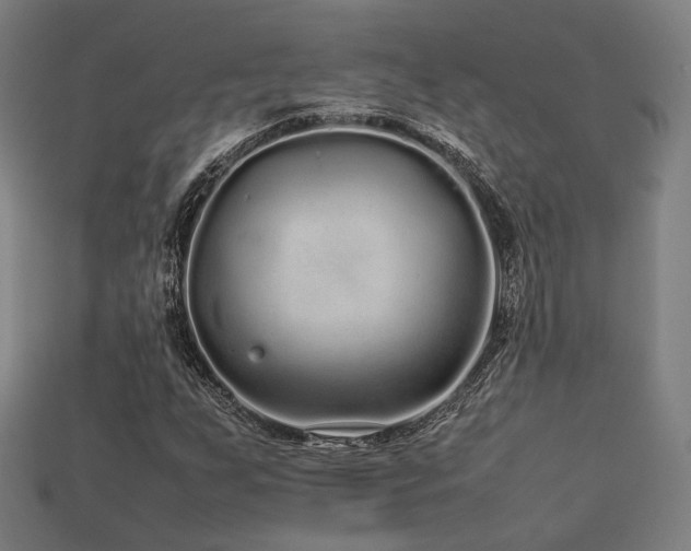 X0000113761255200909231157
