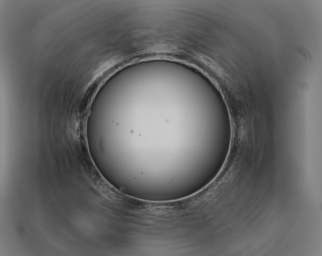 X0000113761258200909231157
