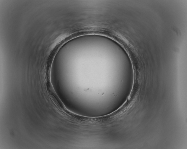 X0000113761259200909231157
