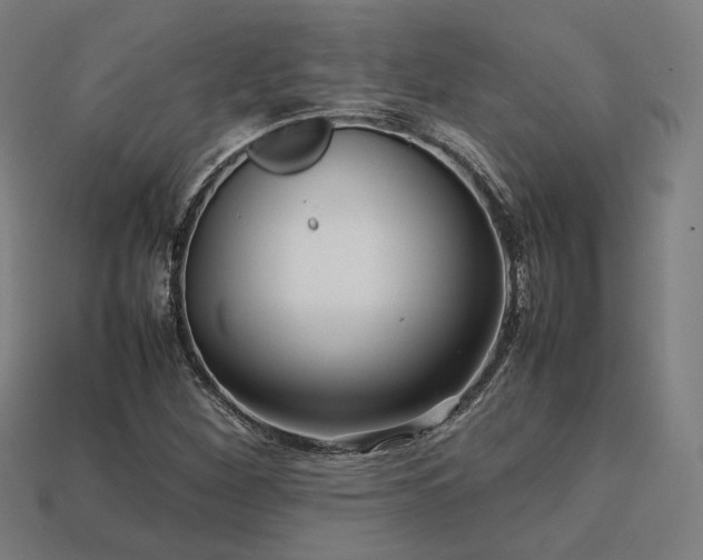 X0000113761260200909231157